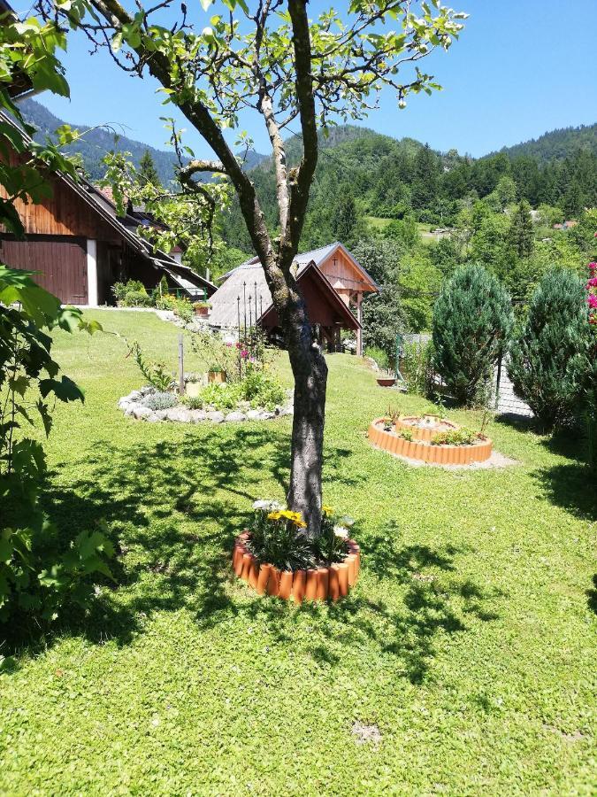 Soba Pri Bregarju Daire Bohinj Dış mekan fotoğraf