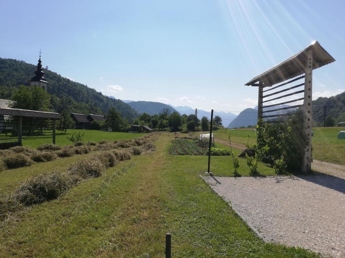 Soba Pri Bregarju Daire Bohinj Dış mekan fotoğraf