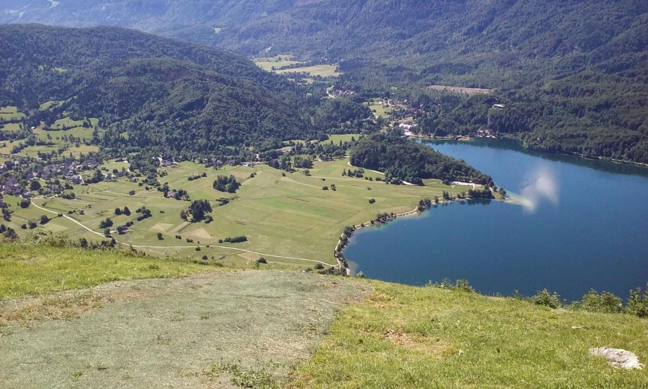 Soba Pri Bregarju Daire Bohinj Dış mekan fotoğraf