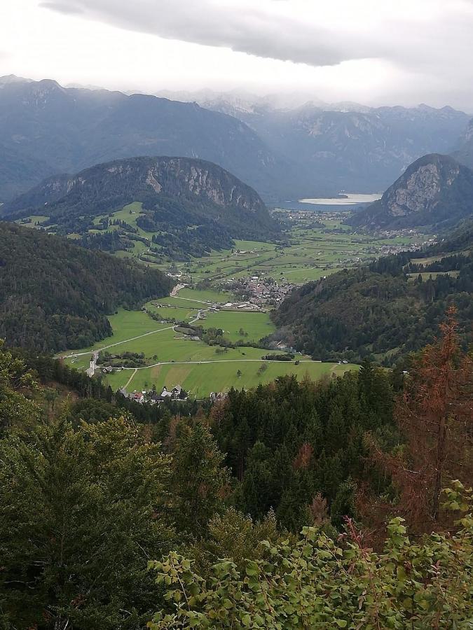 Soba Pri Bregarju Daire Bohinj Dış mekan fotoğraf